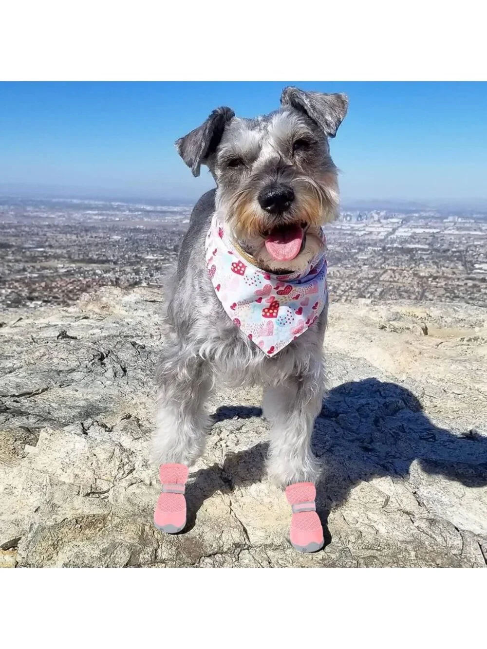 Paw Protectors for Small Dogs - Breathable Summer Dog Booties, Anti-Slip Sole